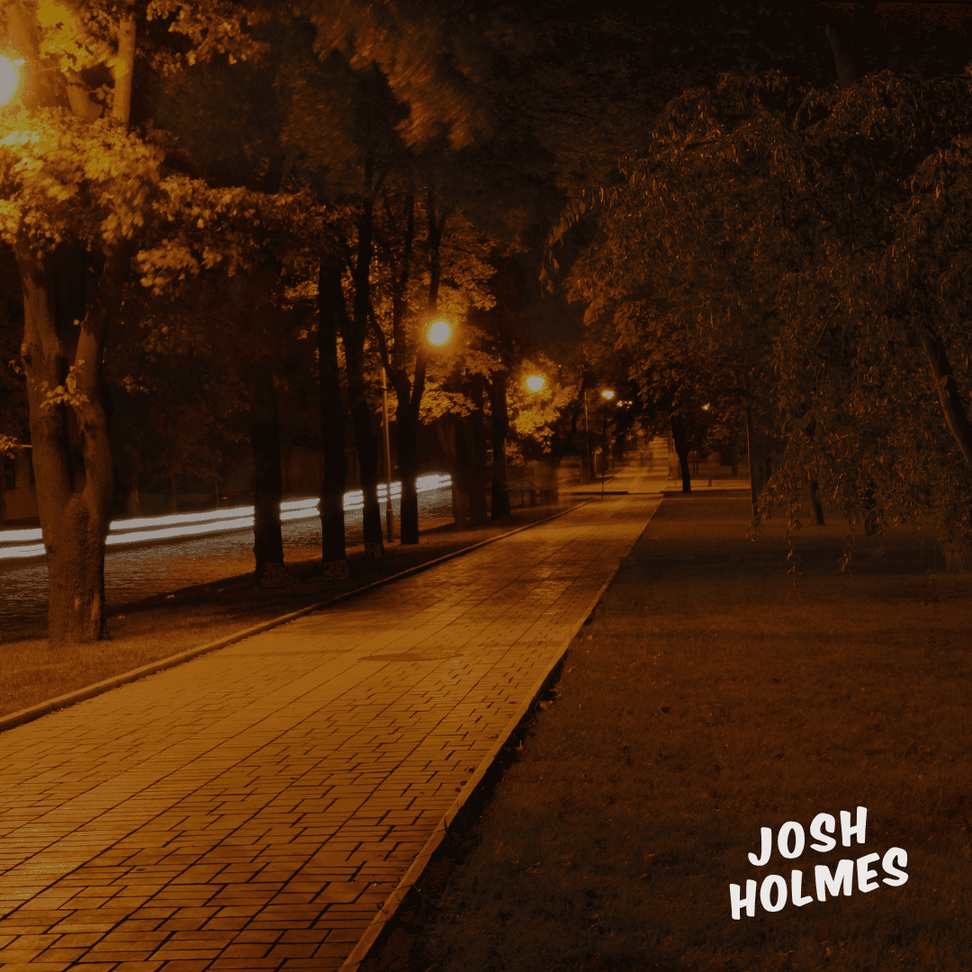 Fall In Love Again — Josh Holmes
